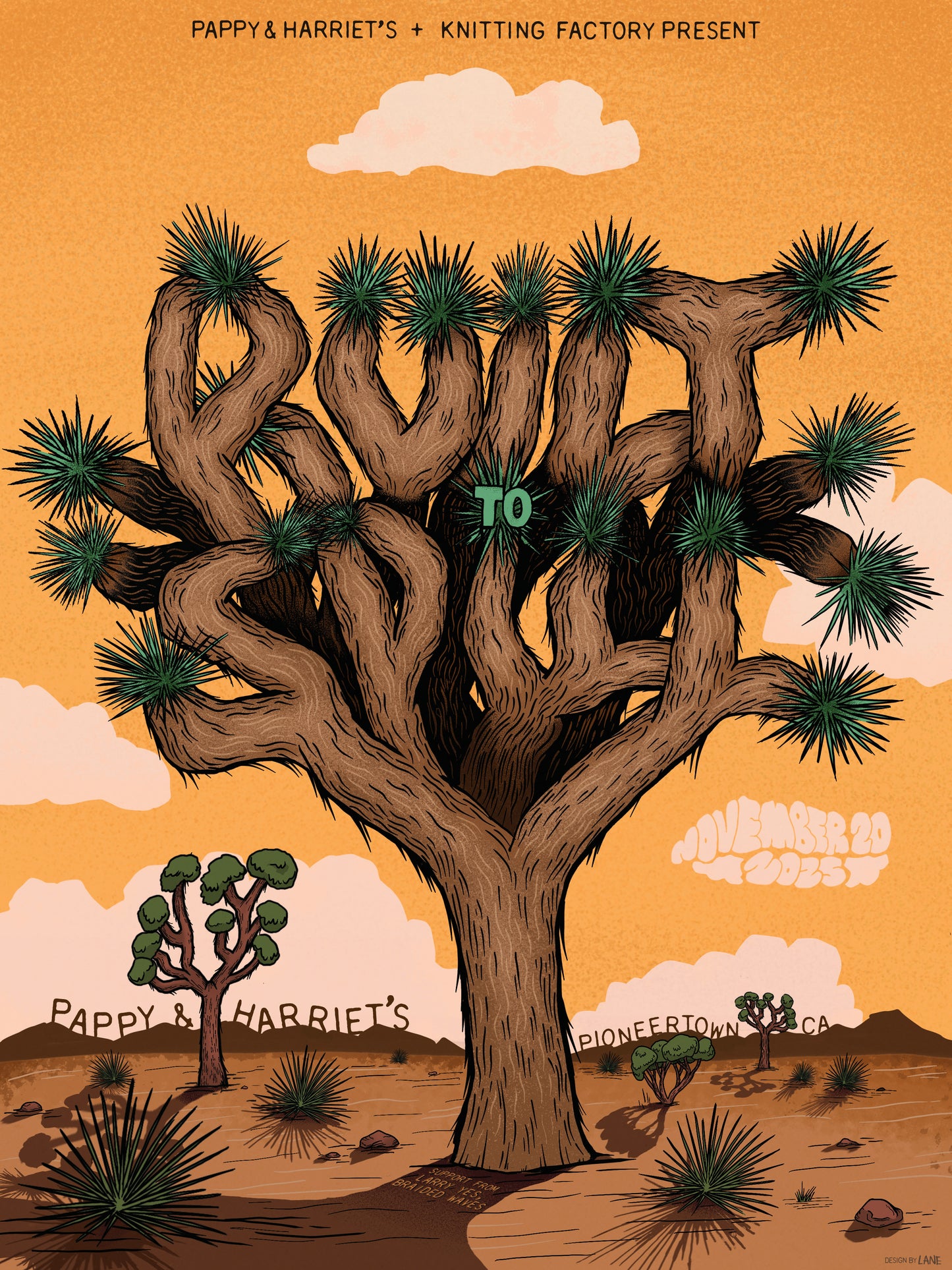 Built To Spill Poster