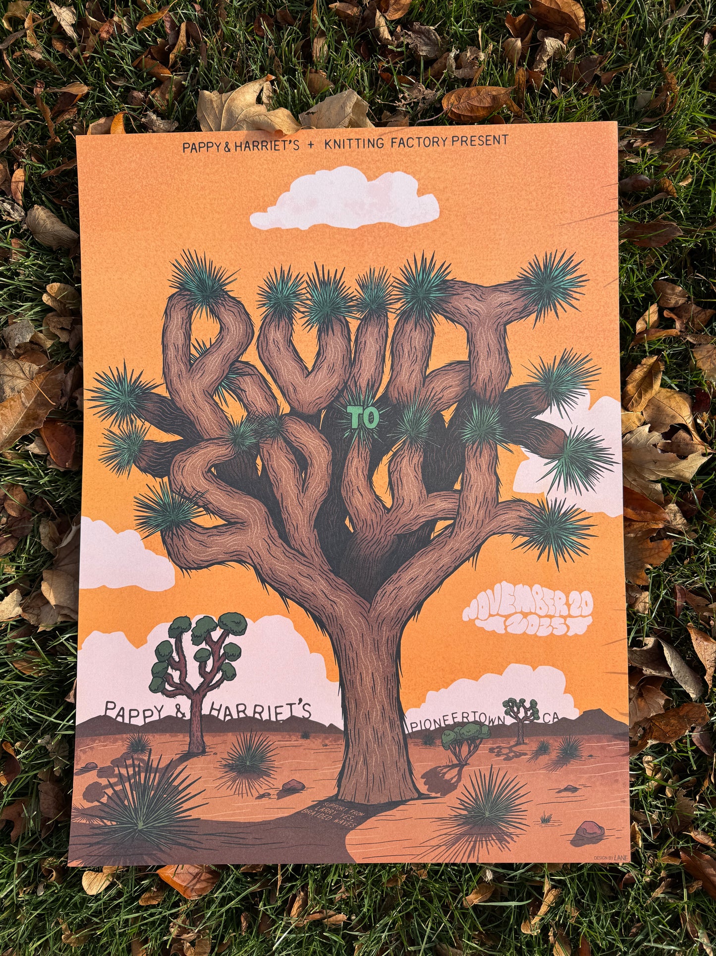 Built To Spill Poster